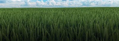 Kontakt os billede.png