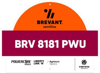 LG-8181pwu_LA_AR_New