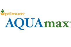 Defeat Drought Conditions - Pioneer® brand Optimum® AQUAmax® corn hybrids