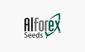 Alforex logo