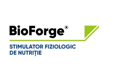 BioForge®