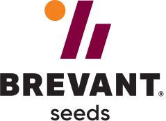 Brevant logo