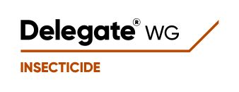 Delegate WG logo