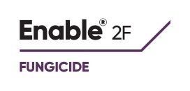 Enable 2F logo