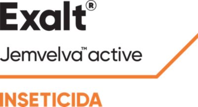Exalt Jemvelva Active Inseticida Logo