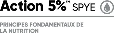 Brand_Logo