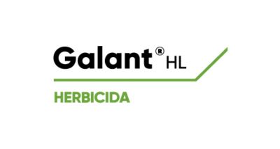 Logo de Galant HL