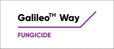 Galileoway logo