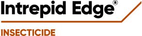 Intrepid Edge logo