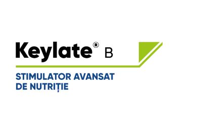 Keylate® B