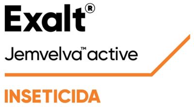 Logo do produto Exalt - inseticida - com detalhes laranja