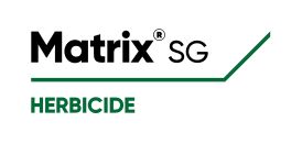 Matrix SG logo