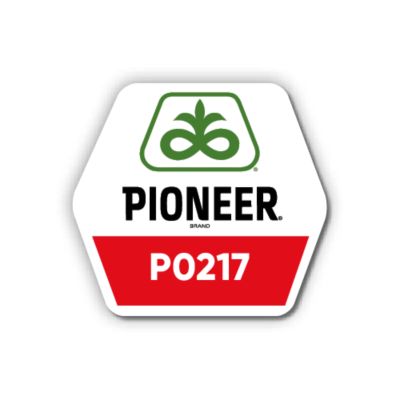 LG-P0217-Pioneer-EU_UA-V1