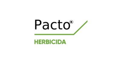 Logo de Pacto