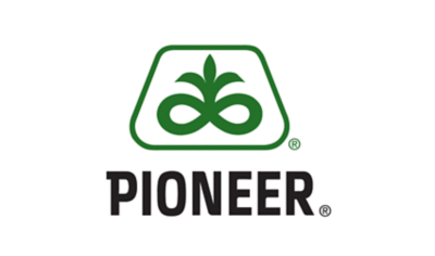 Pioneer® brand corn