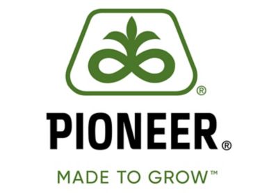 Pioneer