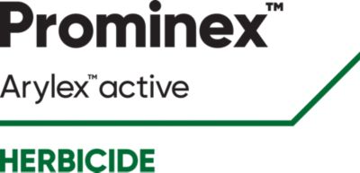 Prominex Logo
