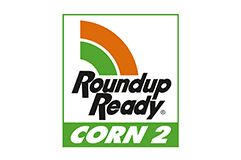 Glyphosate Tolerance - Roundup Ready Corn 2 gene
