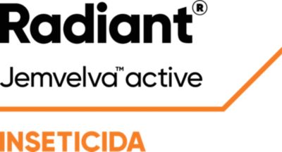 Radiant Inseticida Logo
