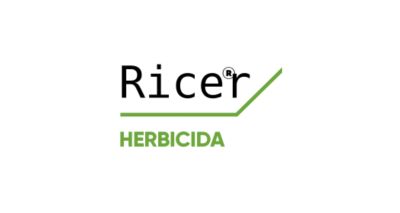 Logo de Ricer
