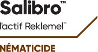 Salibro avec l'actif Reklemel