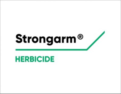 StrongARM - Wikipedia