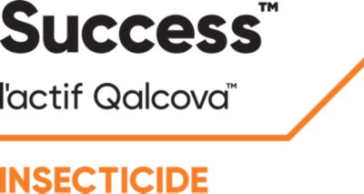 Insecticide Success Logo