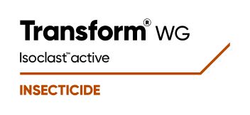 Transform WG logo