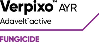 Brand_Logo