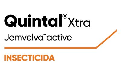 LG-quintal-LA-AR-V1