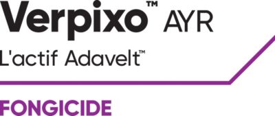 Brand_Logo