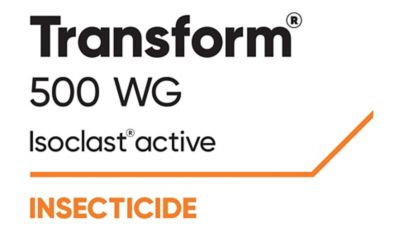 LG_Transform_500_Product_Logo