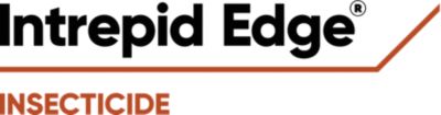 Intrepid Edge logo