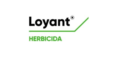 Loyant Logo