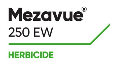 LOGO_MEZAVUE_250_EW