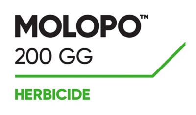 LOGO_Molopo_200_GG