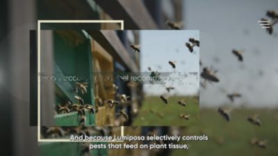 LUMIPOSA - SUSTAINABILITY