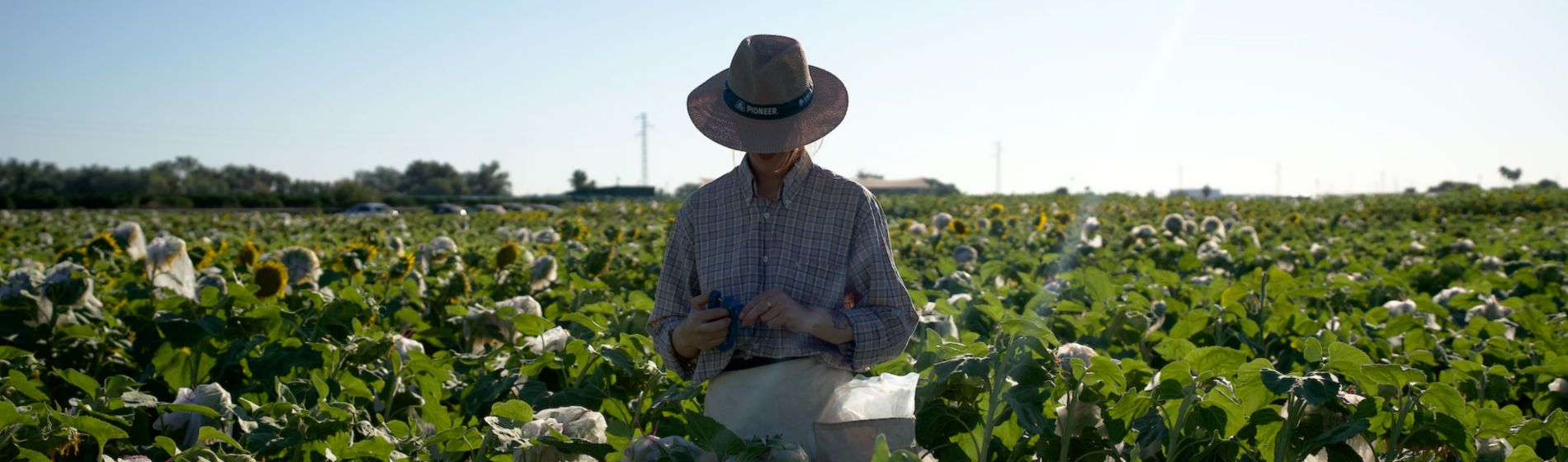 Una PAC orientada a impulsar la sostenibilidad y la digitalización