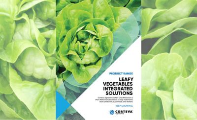 Leafy Vegetables Integrated Solutions