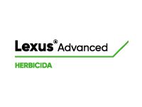 Lexus Advanced