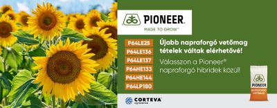 LinolsavasPioneernapraforgo1440