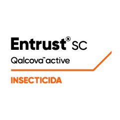 Logo 241x241 México