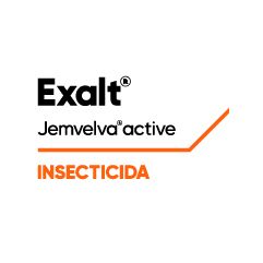 Logo 241x241 México