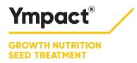 LogoYmpact