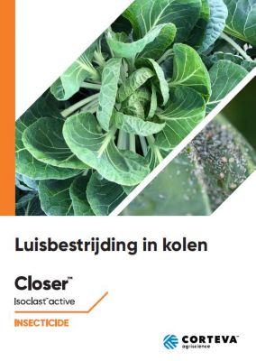 Luisbestrijding in Kolen