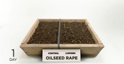 LumiGEN™TechnologieinRaps.mp4