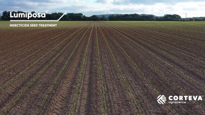 Lumiposa Corn results