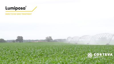 Lumiposa Corn Sustainability