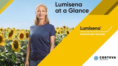 Lumisena At A Glance