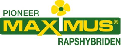 MAXIMUS Logo